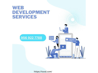 Finest Web App Development Services  | ToXSL Technologies