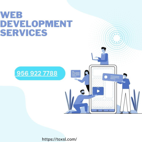 finest-web-app-development-services-toxsl-technologies-big-0