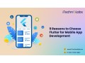 reasons-to-choose-flutter-for-mobile-app-development-small-0