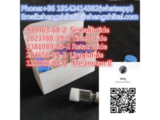 Manufacture Offer CAS 204656-20-2 Liraglutide