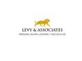 levy-associates-small-0