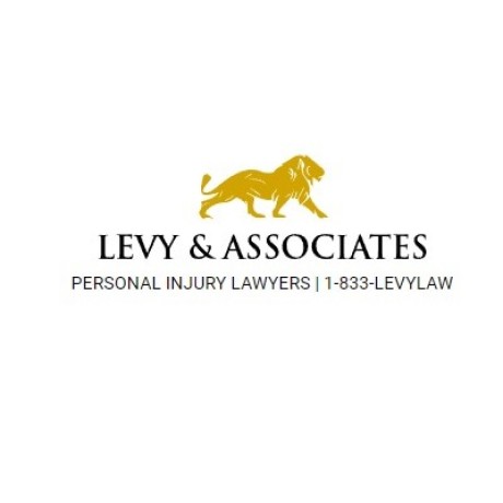 levy-associates-big-0