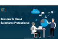reasons-to-hire-a-salesforce-professional-small-0