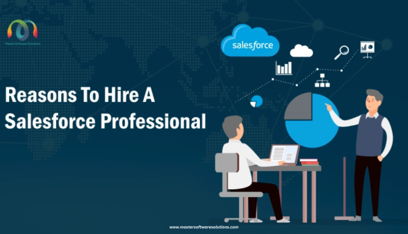 reasons-to-hire-a-salesforce-professional-big-0