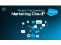 best-salesforce-marketing-cloud-small-0