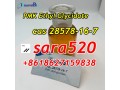 8618627159838-cas-28578-16-7-pmk-ethyl-glycidate-oil-canada-europe-small-2
