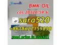 8618627159838-cas-20320-59-6-bmk-ethyl-glycidate-oil-small-2