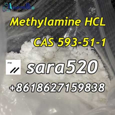 8618627159838-cas-593-51-1-methylamine-hydrochloride-big-1