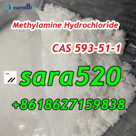 8618627159838-cas-593-51-1-methylamine-hydrochloride-big-0