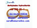 wickr-sara520-cas-593-51-1-methylamine-hydrochloride-manufacturer-supply-small-0