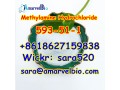 wickr-sara520-cas-593-51-1-methylamine-hydrochloride-manufacturer-supply-small-4