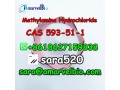 wickr-sara520-cas-593-51-1-methylamine-hydrochloride-manufacturer-supply-small-2