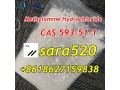 wickr-sara520-cas-593-51-1-methylamine-hydrochloride-manufacturer-supply-small-1