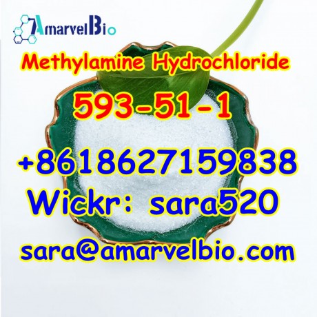 wickr-sara520-cas-593-51-1-methylamine-hydrochloride-manufacturer-supply-big-4