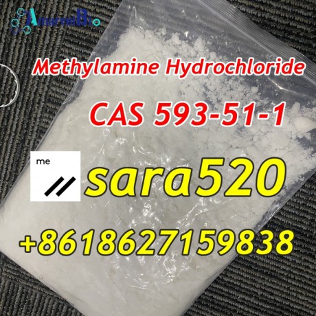 wickr-sara520-cas-593-51-1-methylamine-hydrochloride-manufacturer-supply-big-1