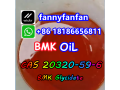 wickrfannyfanfan-top-yeild-cas-20320-59-6-bmk-glycidate-new-bmk-powder-small-4
