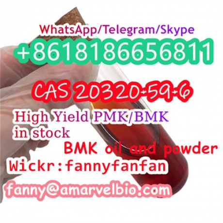 wickrfannyfanfan-top-yeild-cas-20320-59-6-bmk-glycidate-new-bmk-powder-big-0
