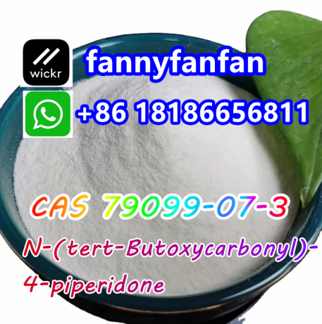 wickrfannyfanfan-cas-79099-07-3-n-tert-butoxycarbonyl-4-piperidone-big-2