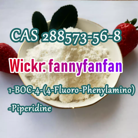 wickrfannyfanfan-1-boc-4-4-fluoro-phenylamino-piperidine-cas-288573-56-8-big-2