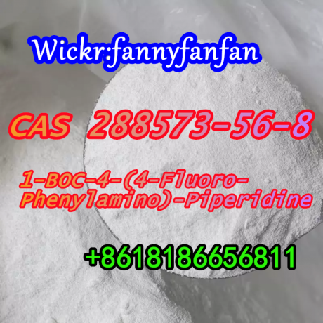 wickrfannyfanfan-1-boc-4-4-fluoro-phenylamino-piperidine-cas-288573-56-8-big-3