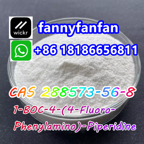 wickrfannyfanfan-1-boc-4-4-fluoro-phenylamino-piperidine-cas-288573-56-8-big-1