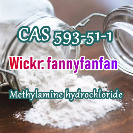 wickrfannyfanfan-cas-593-51-1-methylamine-hydrochloride-big-2