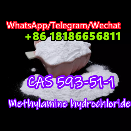 wickrfannyfanfan-cas-593-51-1-methylamine-hydrochloride-big-1