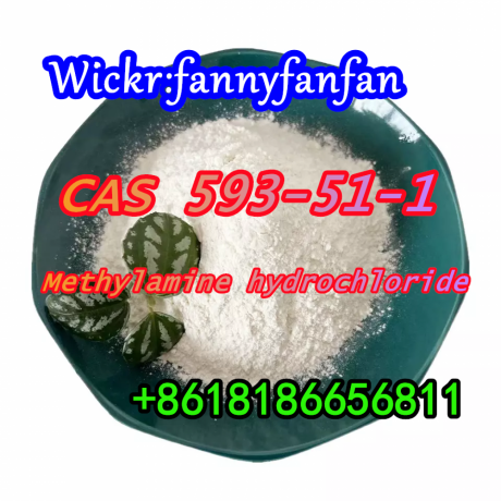 wickrfannyfanfan-cas-593-51-1-methylamine-hydrochloride-big-4
