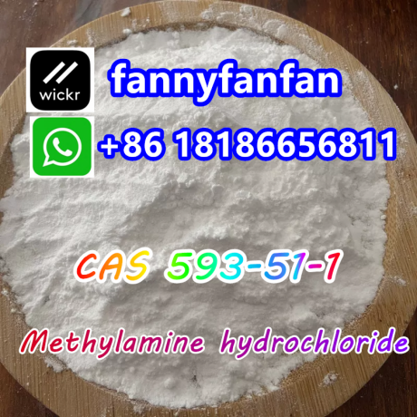 wickrfannyfanfan-cas-593-51-1-methylamine-hydrochloride-big-3