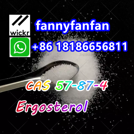 wickrfannyfanfan-cas-57-87-4-ergosterol-big-1