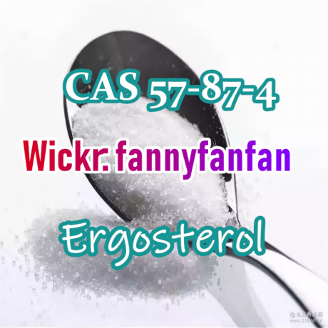 wickrfannyfanfan-cas-57-87-4-ergosterol-big-2