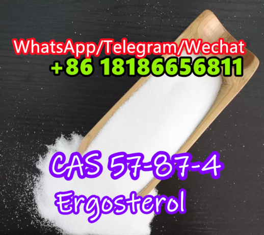 wickrfannyfanfan-cas-57-87-4-ergosterol-big-3