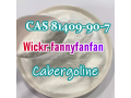 wickrfannyfanfancas-81409-90-7-cabergoline-small-1