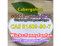 wickrfannyfanfancas-81409-90-7-cabergoline-small-0