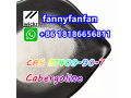 wickrfannyfanfancas-81409-90-7-cabergoline-small-2