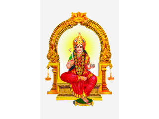 Vedic Astrology in Chennai