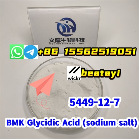 bmk-glycidic-acid-sodium-salt5449-12-7-big-0