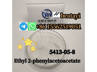 Ethyl 2-phenylacetoacetate	5413-05-8    the one and only