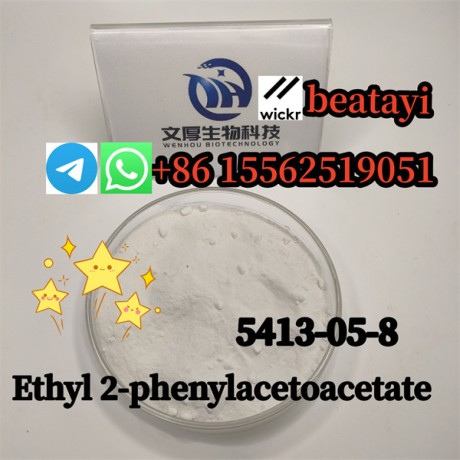 one-and-only-ethyl-2-phenylacetoacetatethe-5413-05-8-big-0