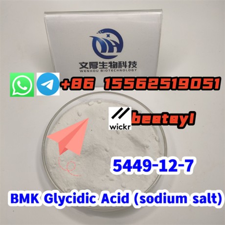 bmk-glycidic-acid-sodium-salt-raw-material-5449-12-7-big-0