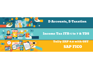 Accounting Course in Delhi, Saket, 100% Job, SLA Institute, Tally, GST, SAP FICO Certification by Expert, Summer Offer '23