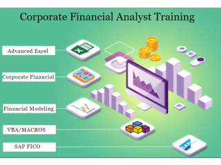Best Financial Modeling Training in Laxmi Nagar, Delhi with Free MS Excel, VBA Macros & SAP FICO Certification, 100% Job