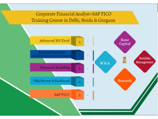 Financial Modeling Training with Free MS Excel, VBA Macros & SAP FICO Certification, 100% Job in Delhi, Noida & Gurgaon