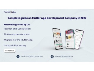 Complete Guide on Flutter App Development Company in 2023