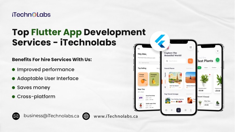 top-flutter-app-development-services-itechnolabs-big-0